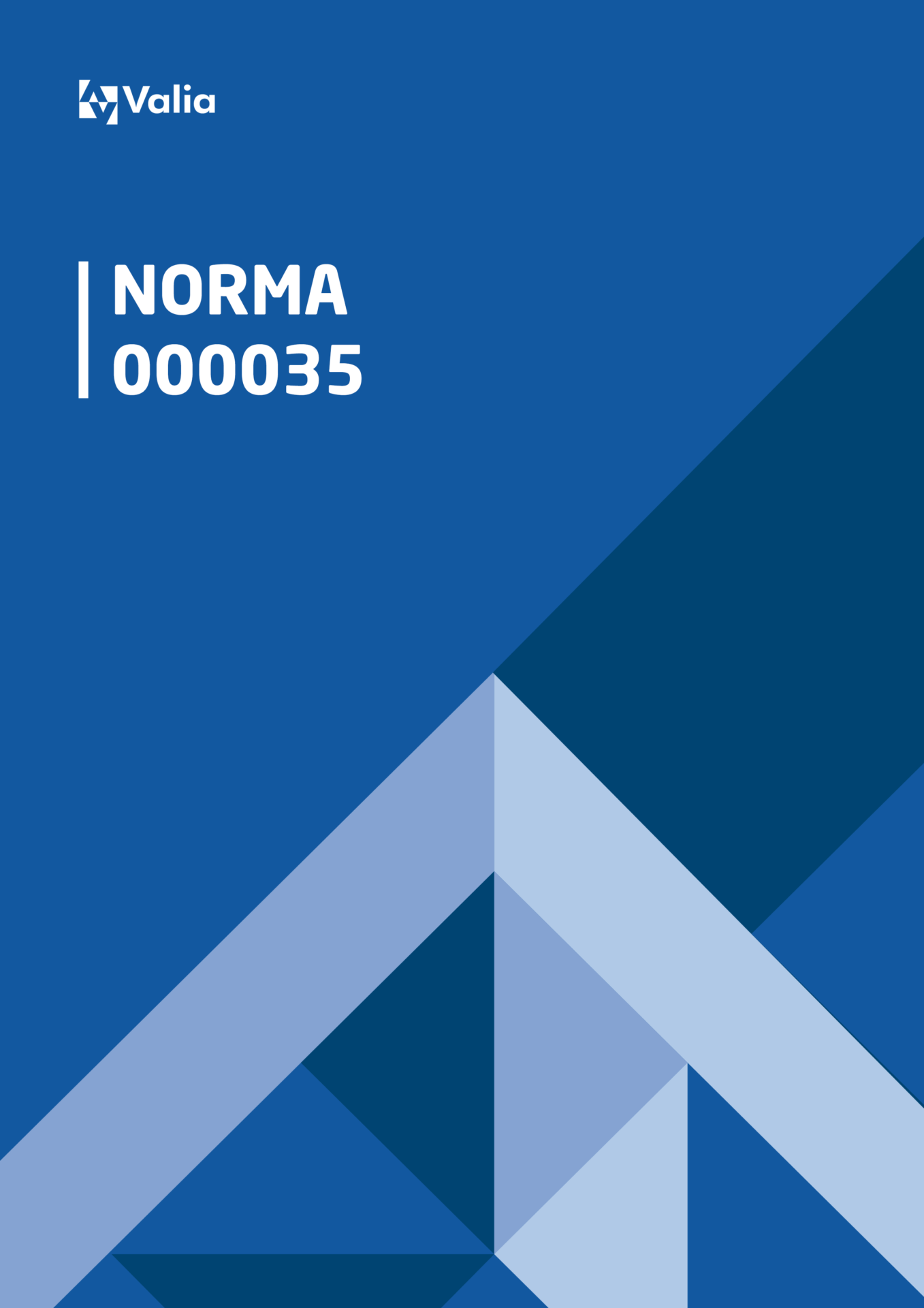 NORMA 000035